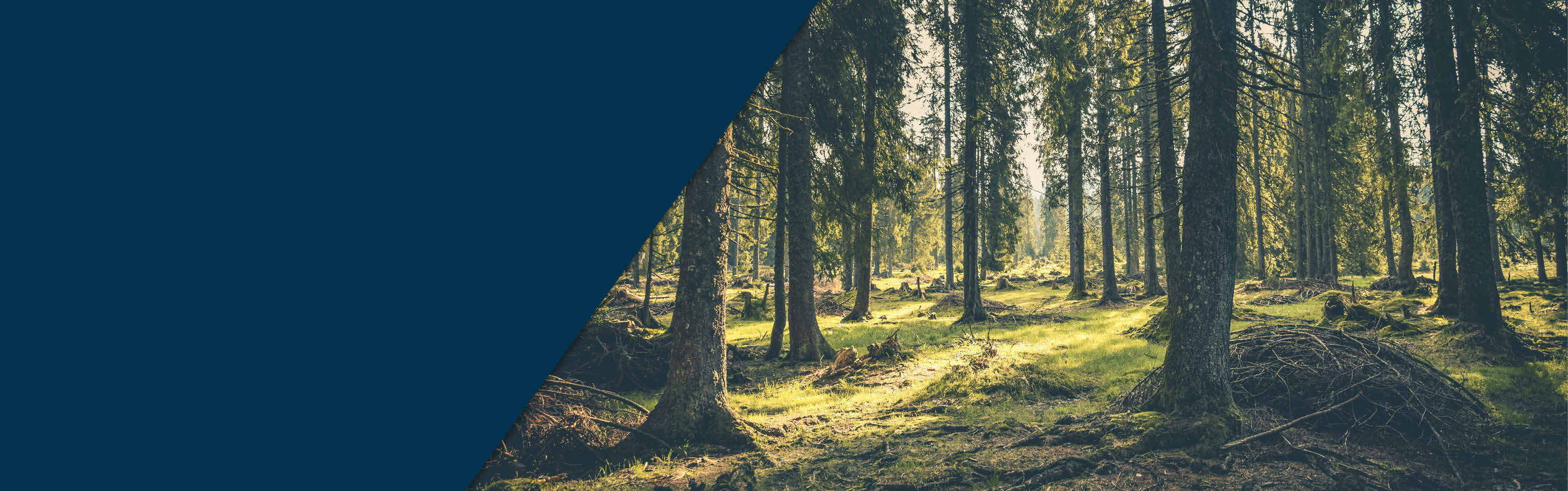 Duurzaamheid bij Rillprint